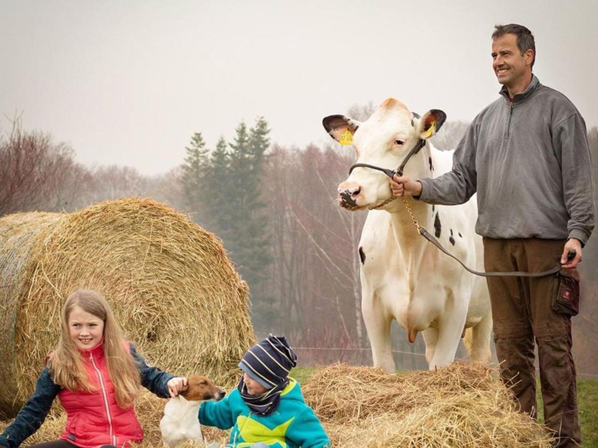 Soodehof Eins Leilighet Hofgeismar Eksteriør bilde